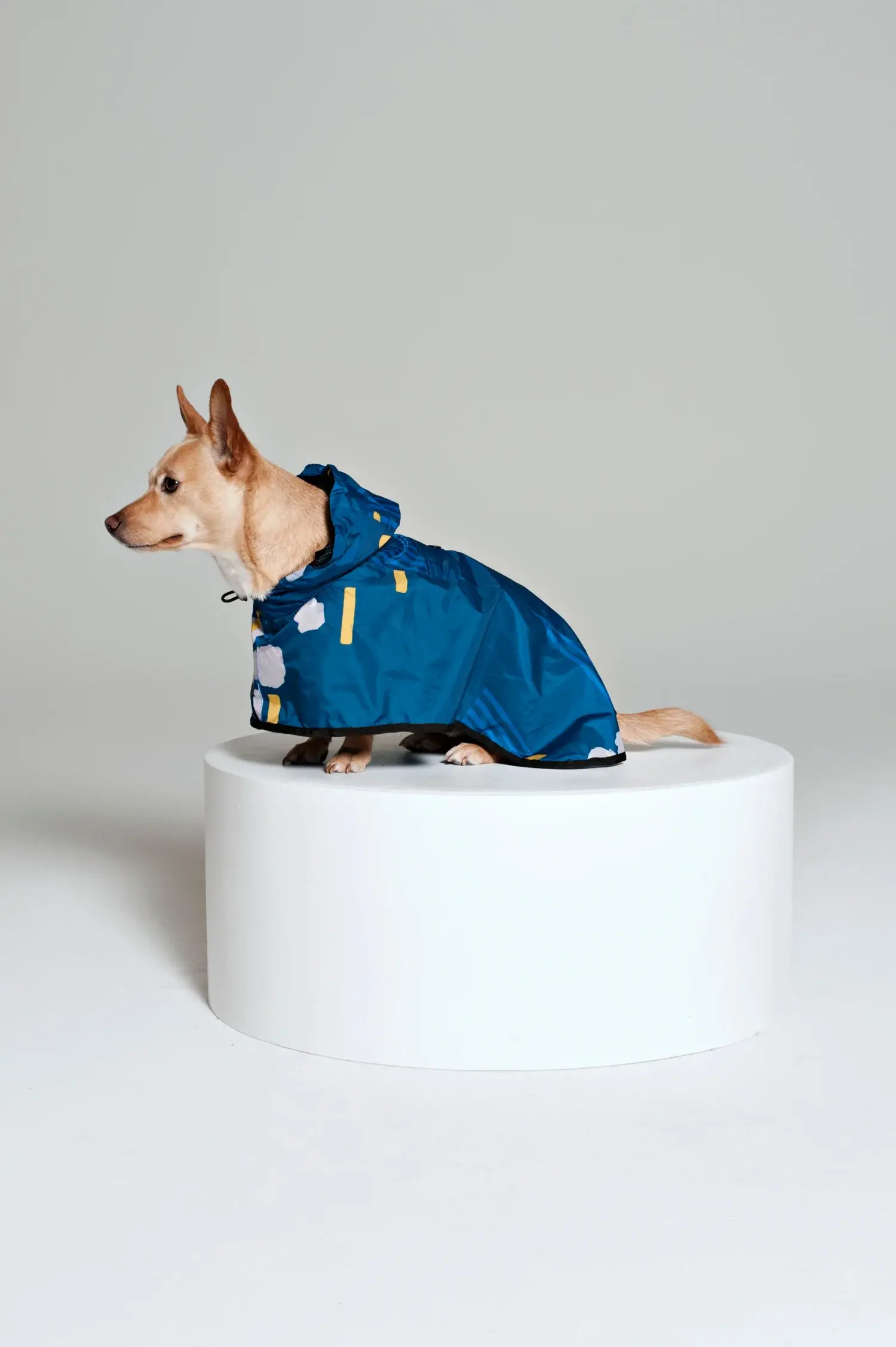 Japanese Blossom Dog Poncho - Adora Boutique