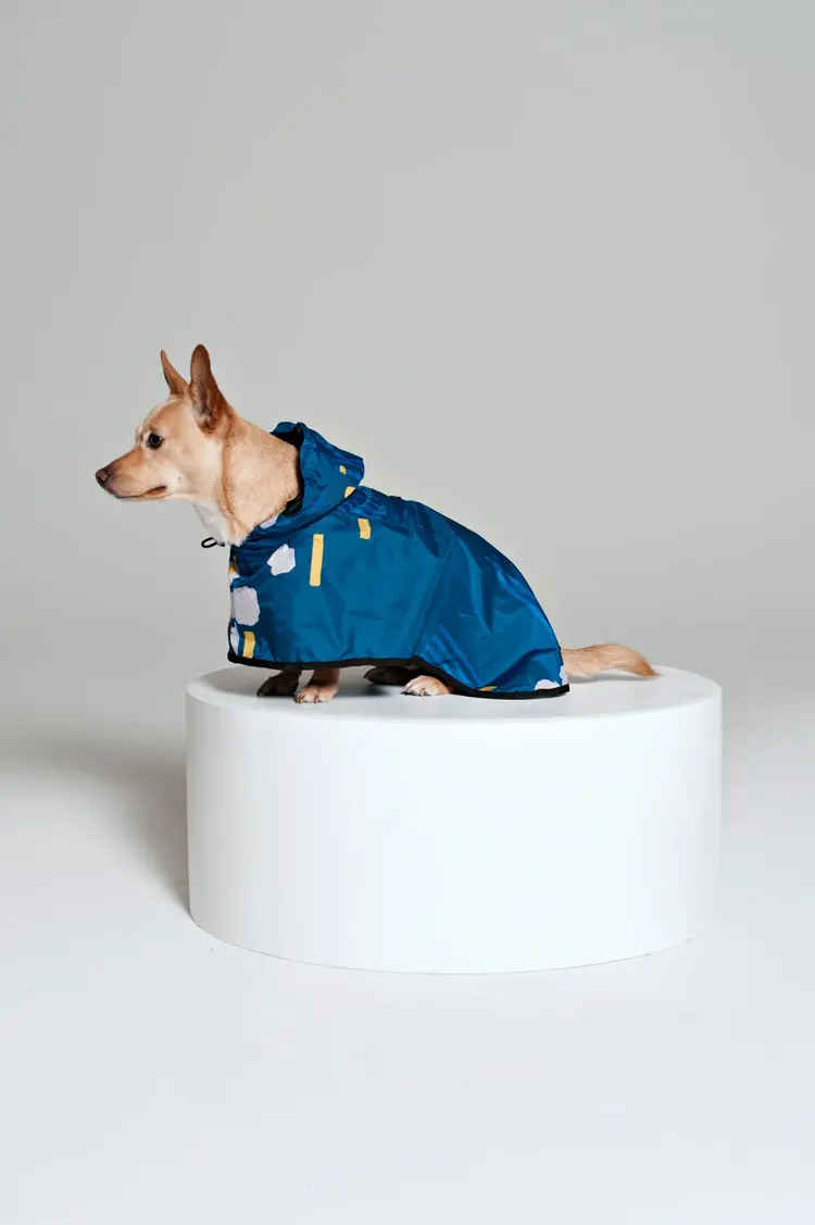 Japanese Blossom Dog Poncho