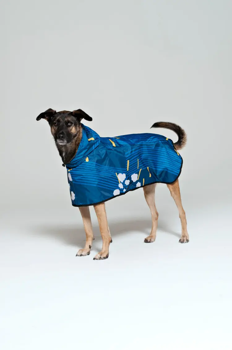 Japanese Blossom Dog Poncho