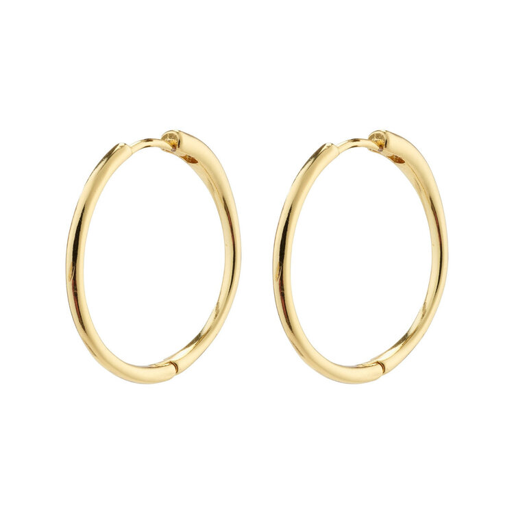 EANNA large hoops