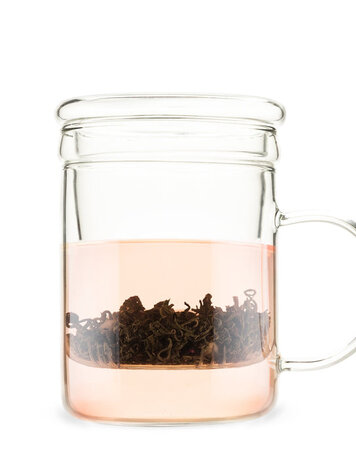 Blake Glass Tea Infuser Mug
