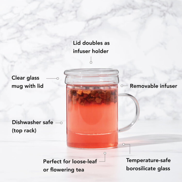Blake Glass Tea Infuser Mug