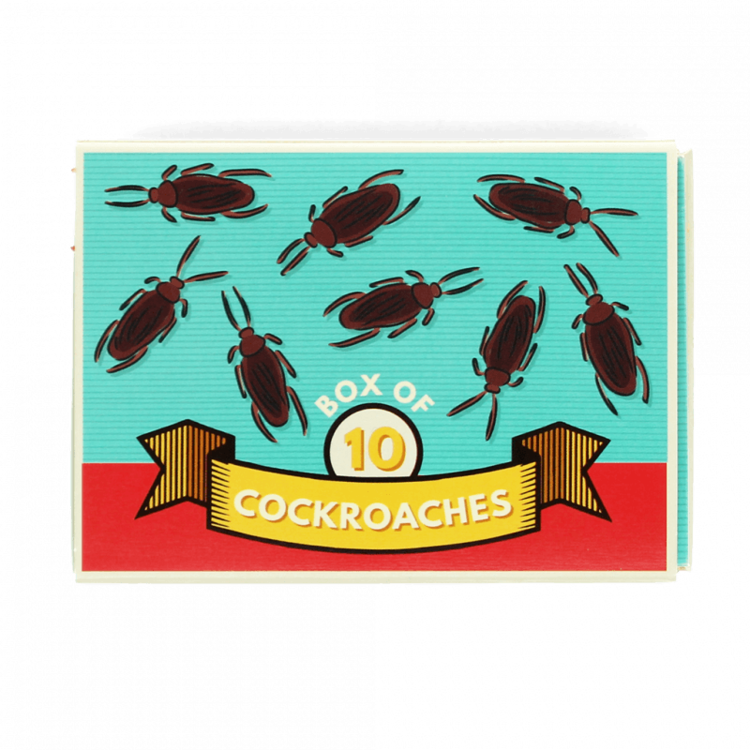 Box Of 10 Cockroaches