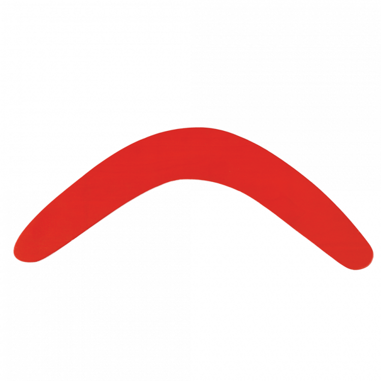 Wooden Boomerang - Wild Bear