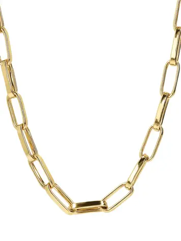 Thick Elongated Link Necklace