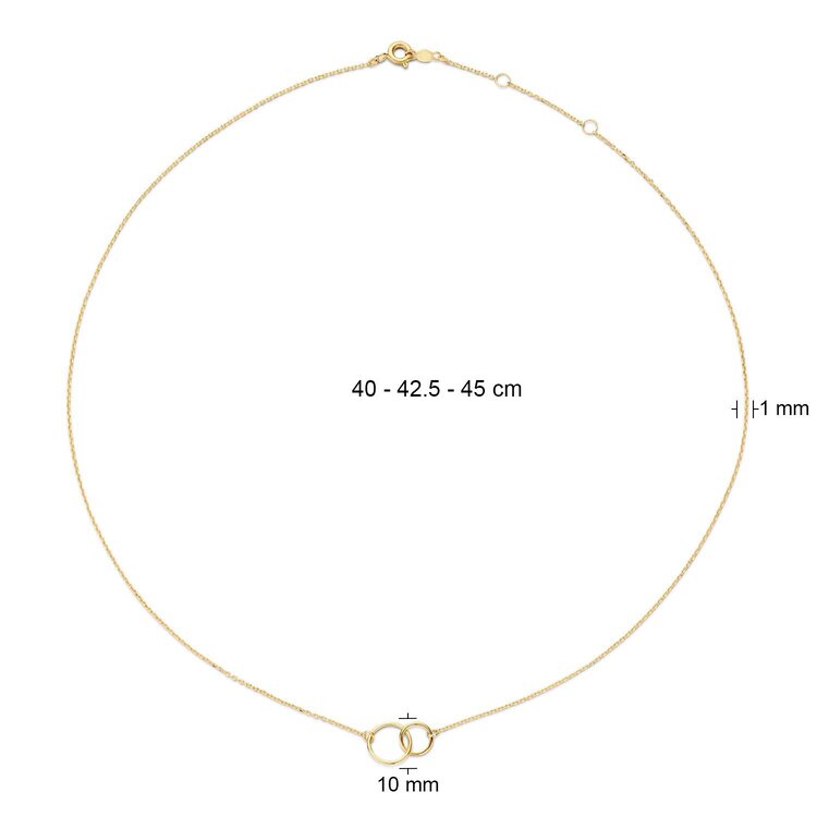 Double Circle Necklace