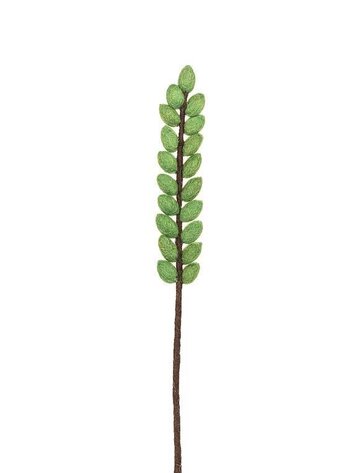 Simple Leaf Stem-Green