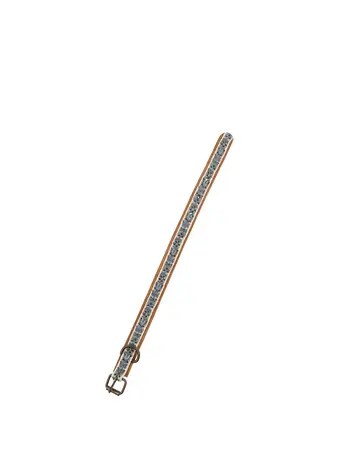 Nova Embroidered Dog Collar