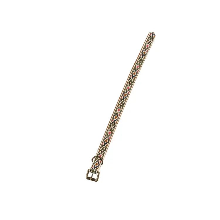 Riley Embroidered Dog Collar