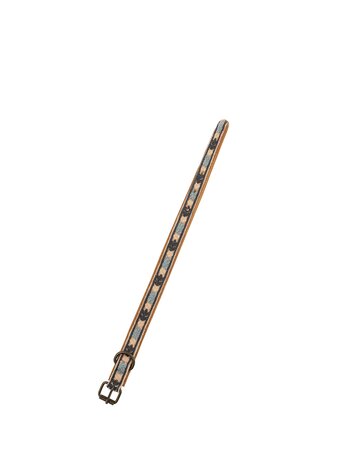 Casper Embroidered Dog Collar