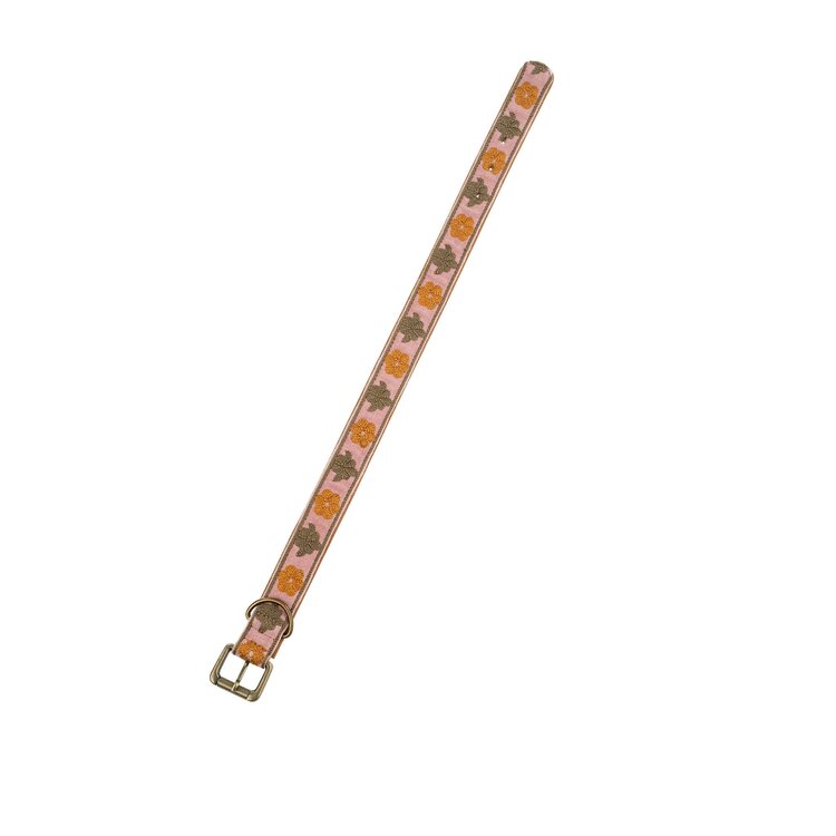 Buddy Embroidered Dog Collar