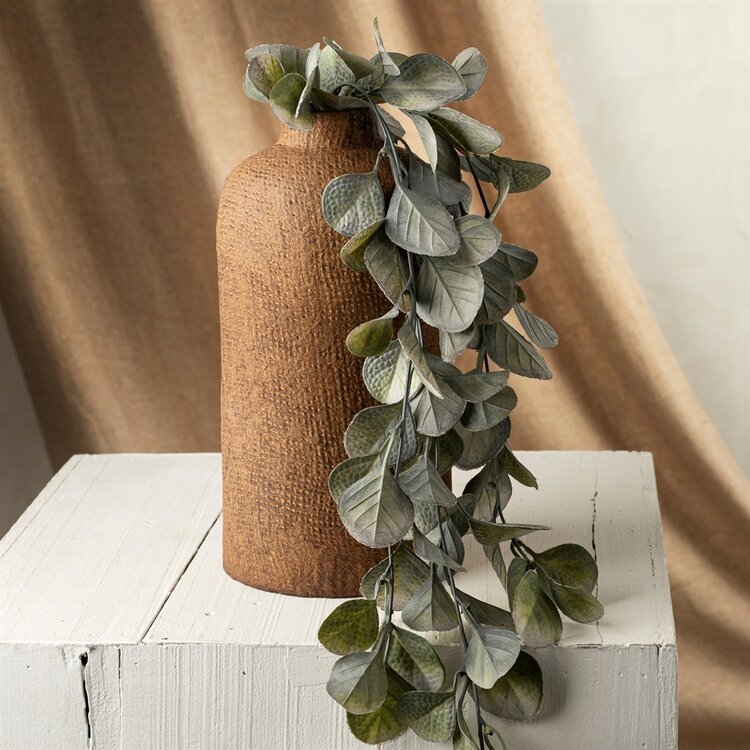 Trailing Eucalyptus Vine