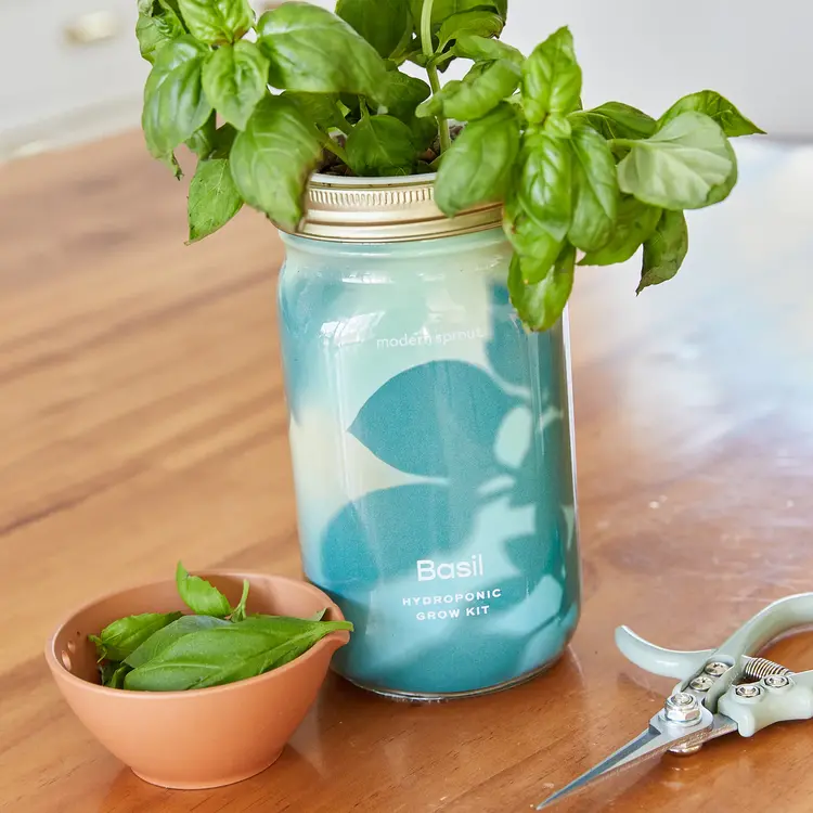 Garden Jar
