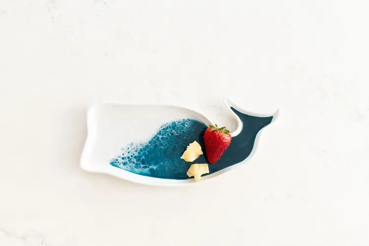 Resin-Accented Whale Ceramic Tray