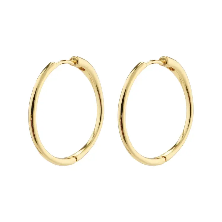 EANNA large hoops