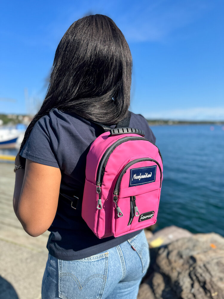 Newfoundland Water-Resistant Mini Backpack