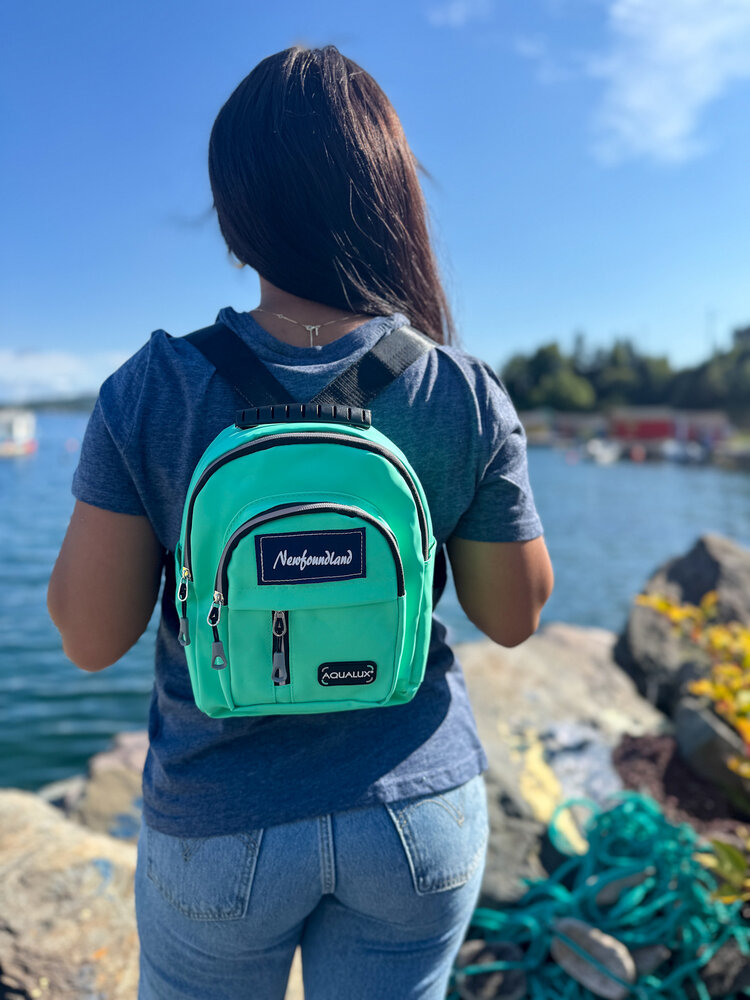 Newfoundland Water-Resistant Mini Backpack
