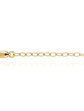 Gold Extension Chain
