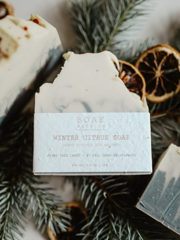 Winter Citrus Soap Bar