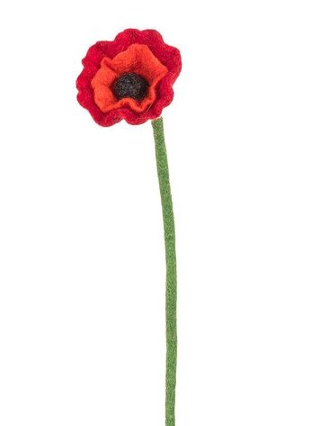 Red Poppy Stem
