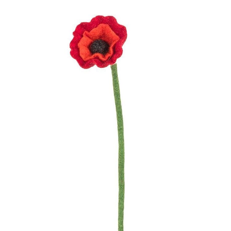 Red Poppy Stem