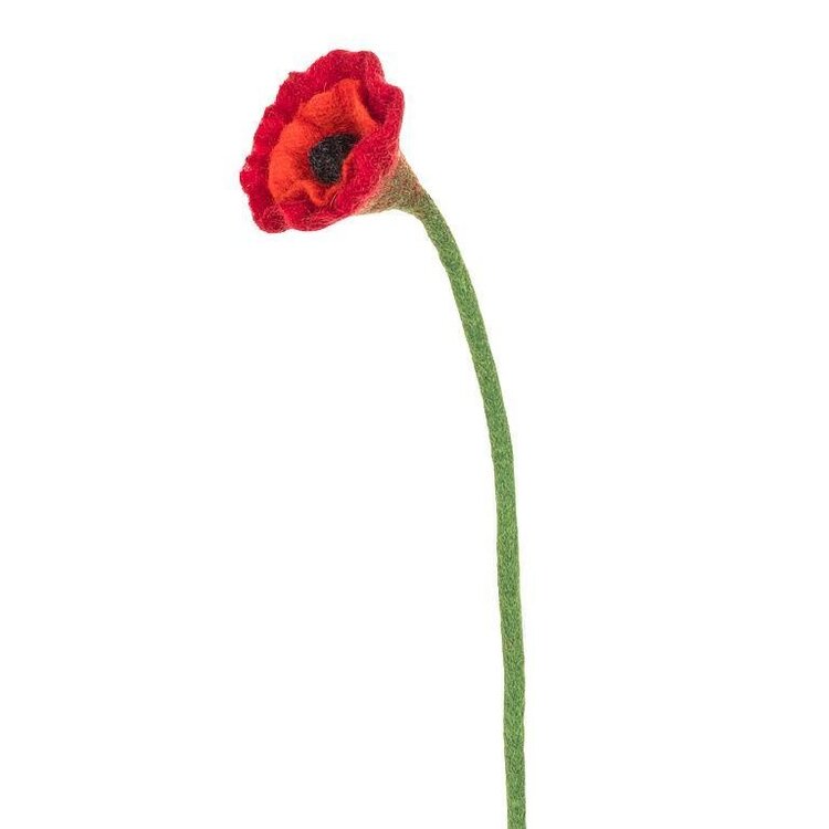 Red Poppy Stem