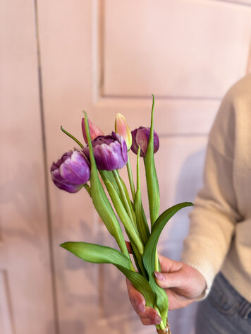Fresh Touch Peony + Tulip Bundle Lavender