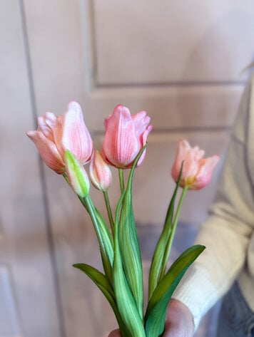 Fresh Touch Parrot Tulip Bundle Pink