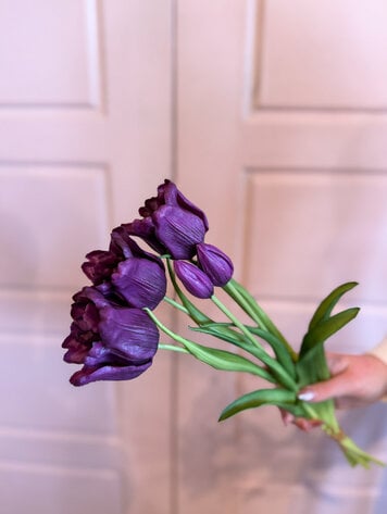 Fresh Touch Parrot Tulip Bundle Purple