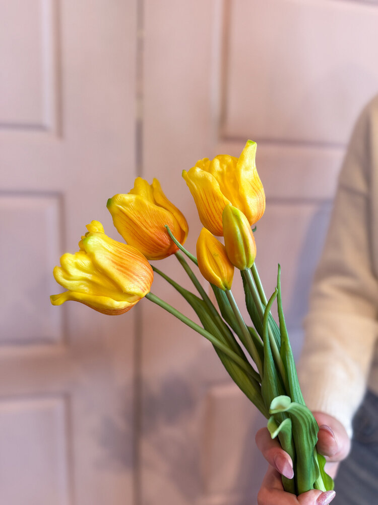 Fresh Touch Parrot Tulip Bundle Yellow