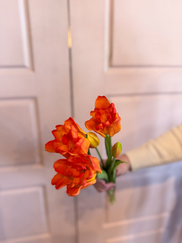 Fresh Touch Parrot Tulip Bundle Orange