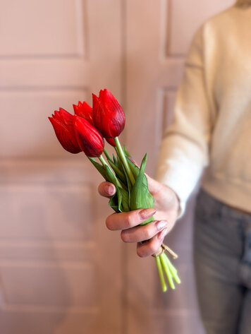 Fresh Touch Mini Tulip Bundle Red