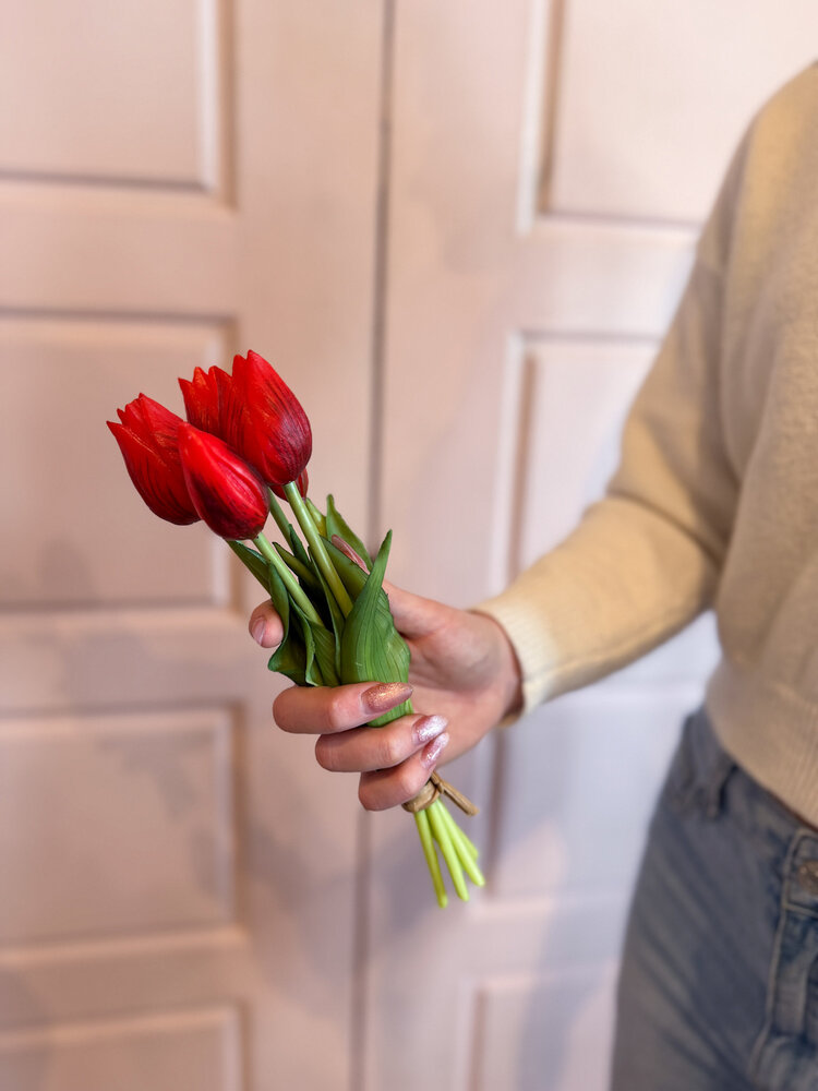 Fresh Touch Mini Tulip Bundle Red