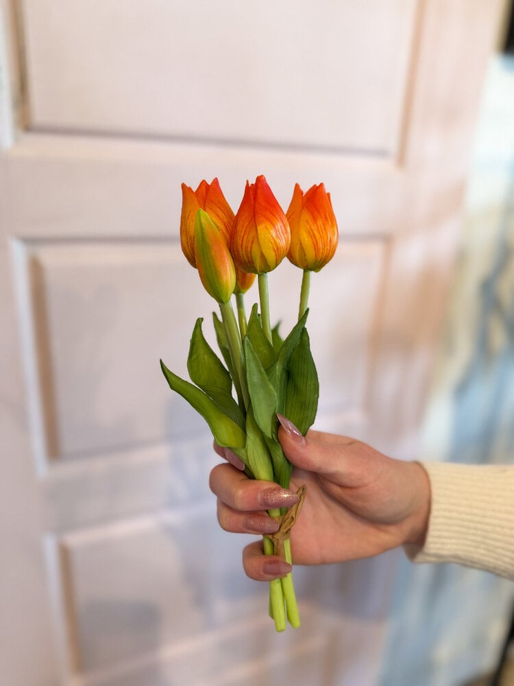 Fresh Touch Mini Tulip Bundle Orange