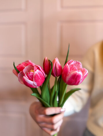 Fresh Touch Late Tulip Bundle Cotton Candy