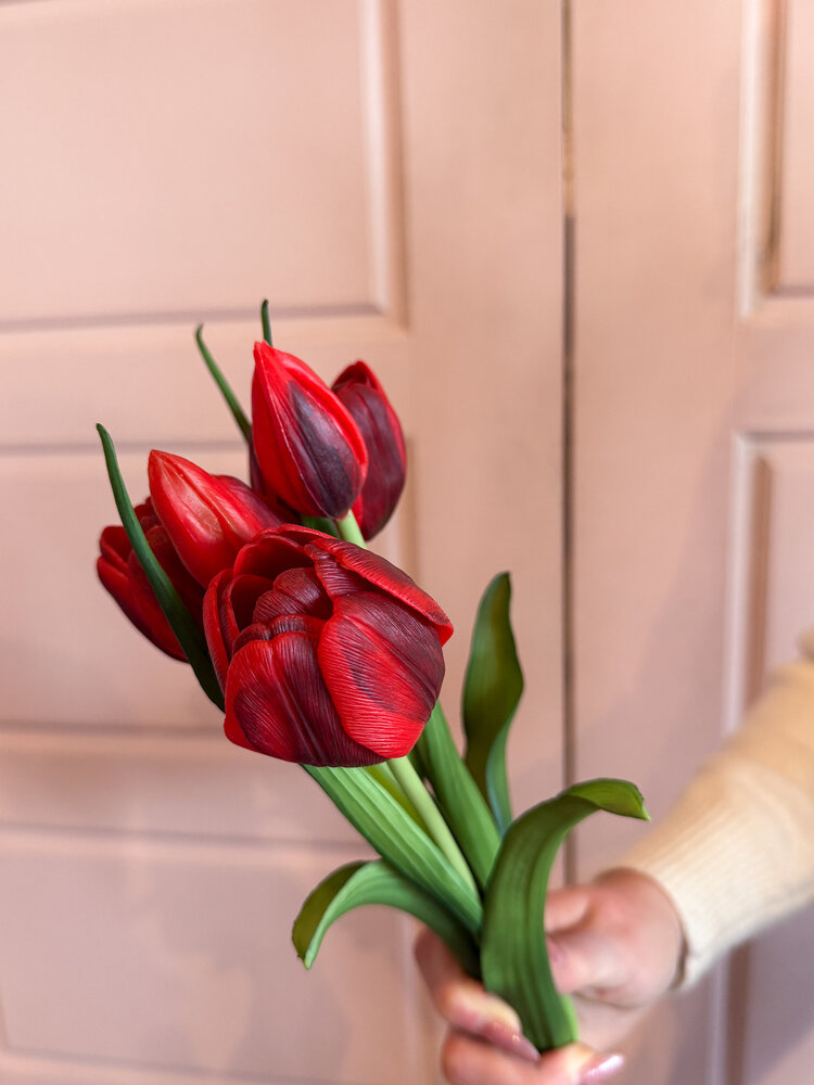 Fresh Touch Late Tulip Bundle Red