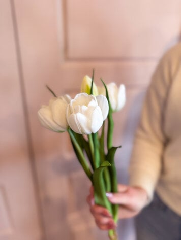 Fresh Touch Late Tulip Bundle White