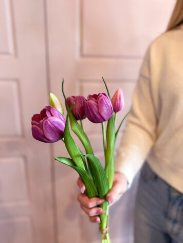 Fresh Touch Late Tulip Bundle Light Plum