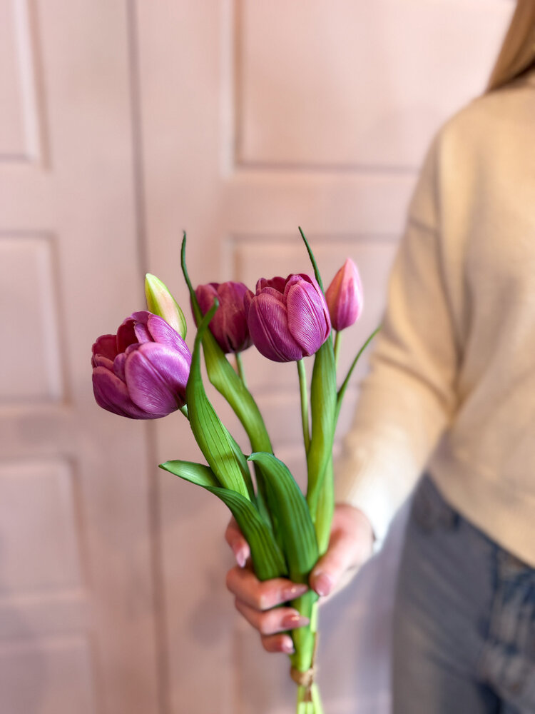 Fresh Touch Late Tulip Bundle Light Plum