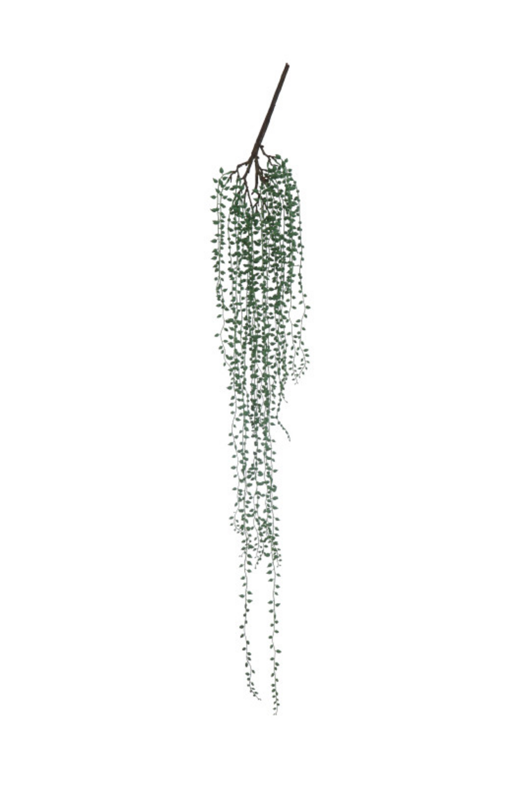 String of Pearls Pick