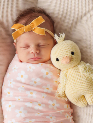 Baby Duckling