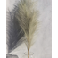 Large Olive Faux Pampas Grass - 1 Stem