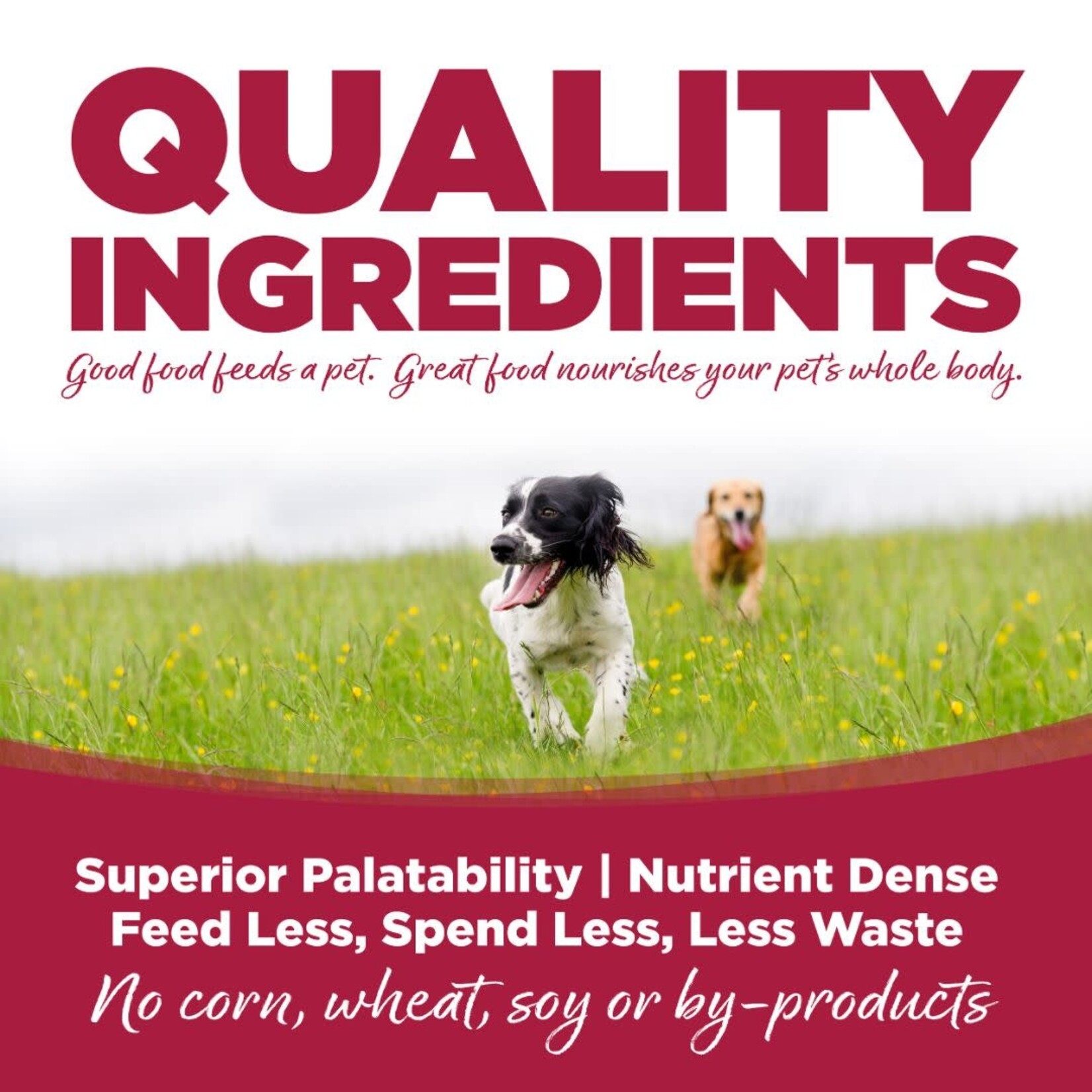 NutriSource NutriSource Chicken, Lamb & Ocean Fish Recipe Canned Dog Food