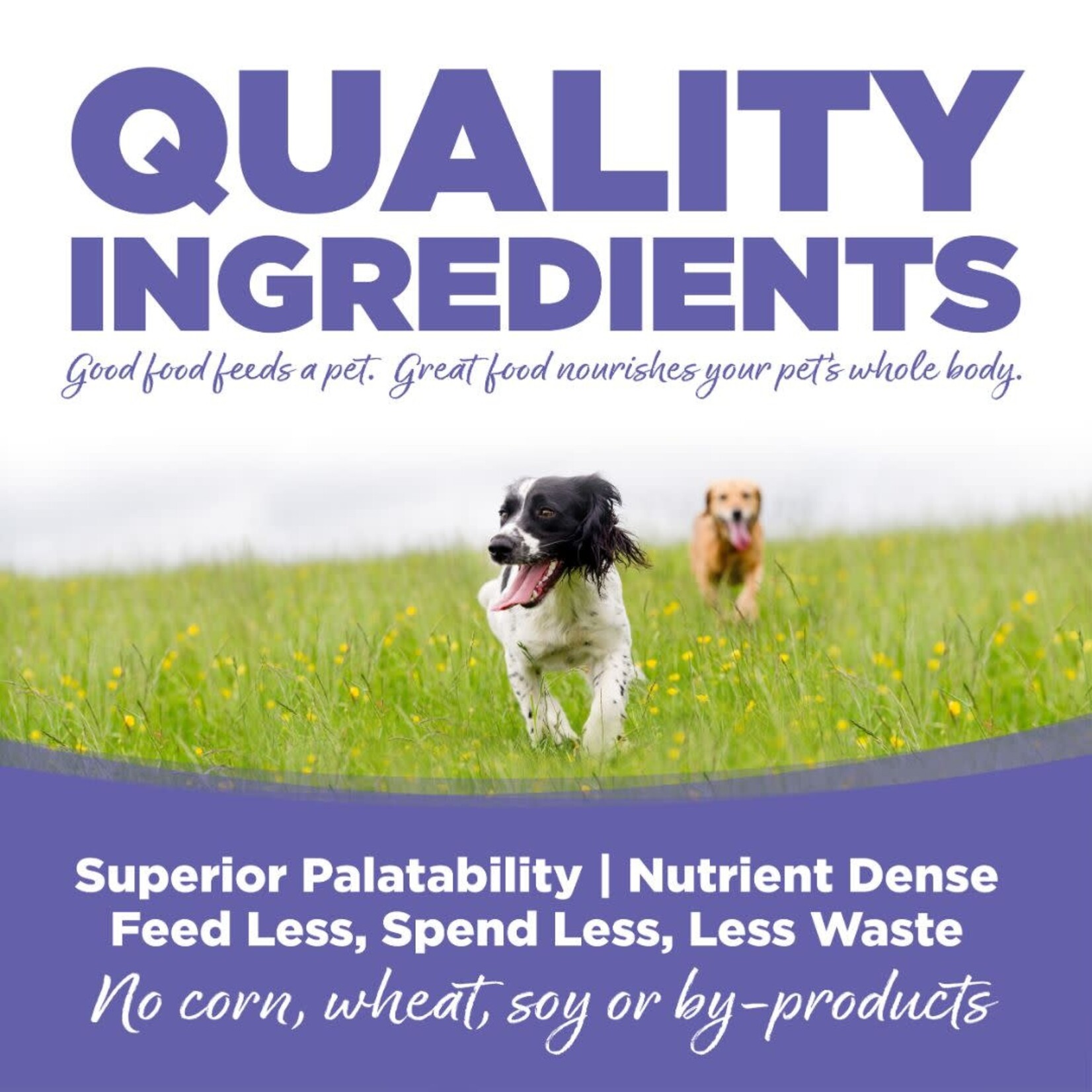 NutriSource NutriSource Small & Medium Breed Puppy Canned Dog Food