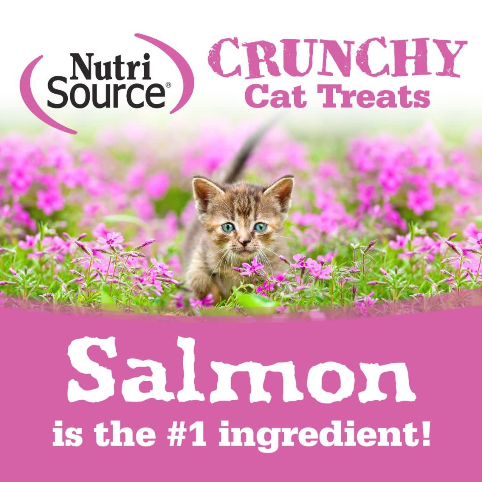 NutriSource NutriSource Crunchy Cat Salmon & Tuna Treats