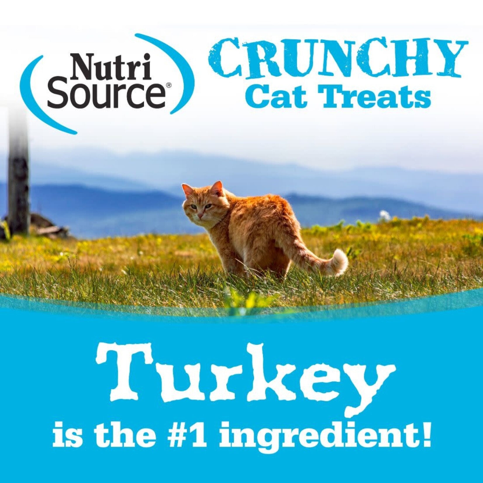 NutriSource NutriSource Crunchy Cat Turkey & Chicken Treats