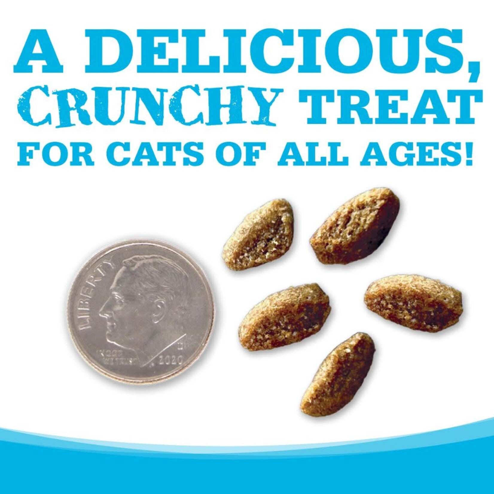 NutriSource NutriSource Crunchy Cat Turkey & Chicken Treats