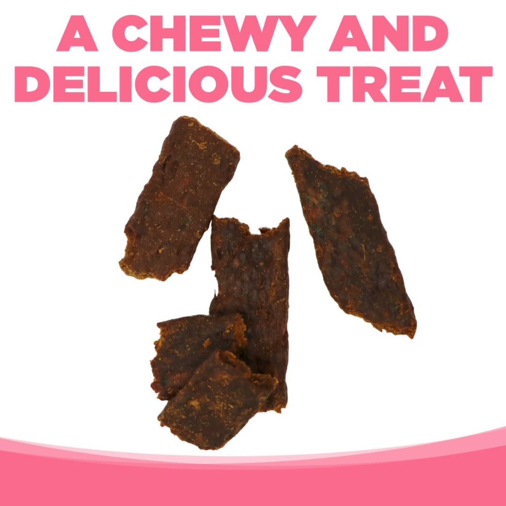 PureVita (by NutriSource) PureVita Salmon Recipe Jerky Strips