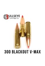 300 BLK - 110gr and 208gr