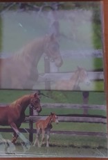 Horse Picture Letter/Envelope Set